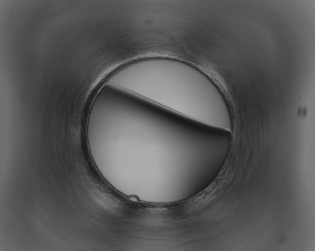 X0000091700108200708240943