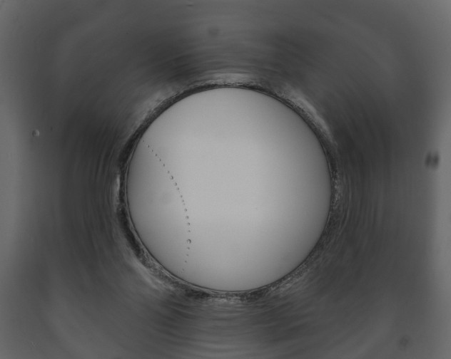 X0000091700110200708240943