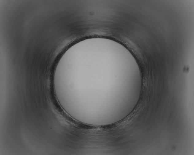 X0000091700112200708240943