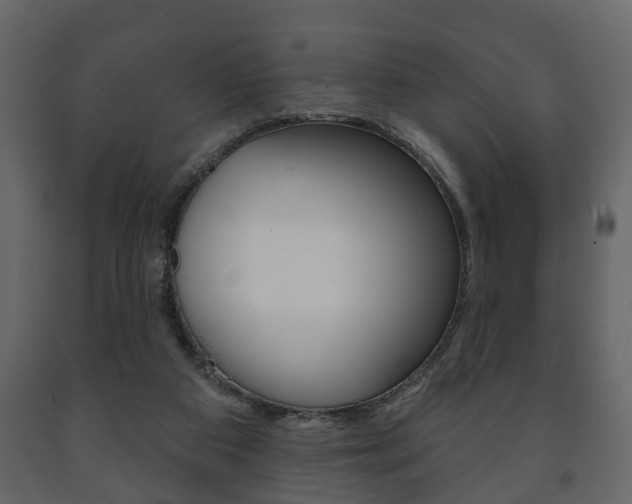 X0000091700113200708240943