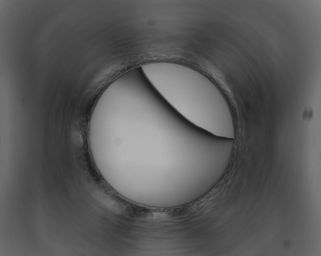 X0000091700114200708240943