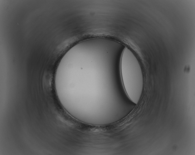 X0000091700115200708240943