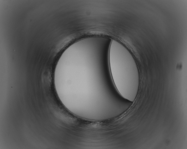 X0000091700116200708240943
