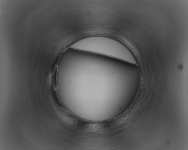 X0000091700117200708240943