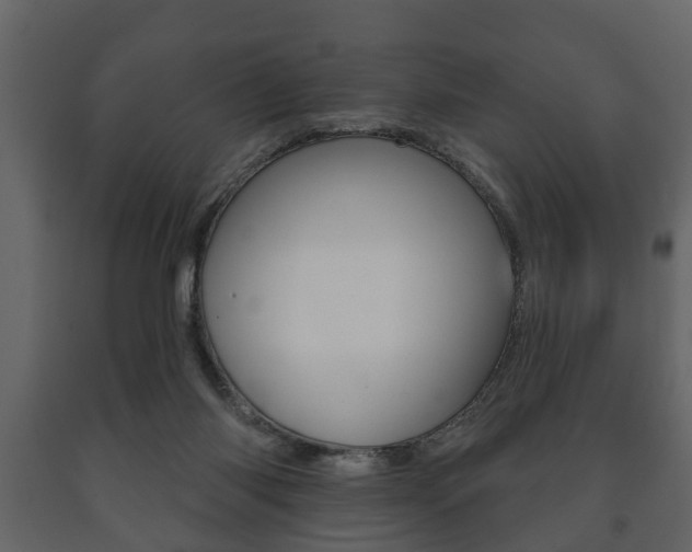 X0000091700118200708240943