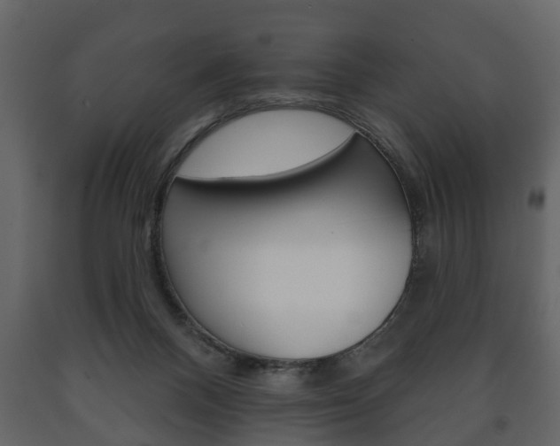 X0000091700120200708240943
