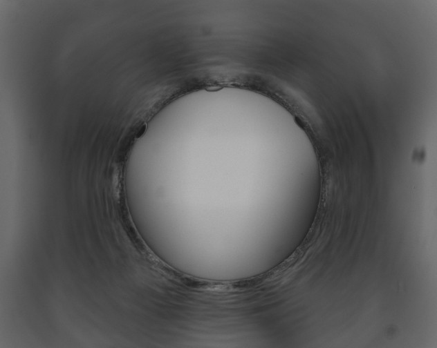 X0000091700121200708240943