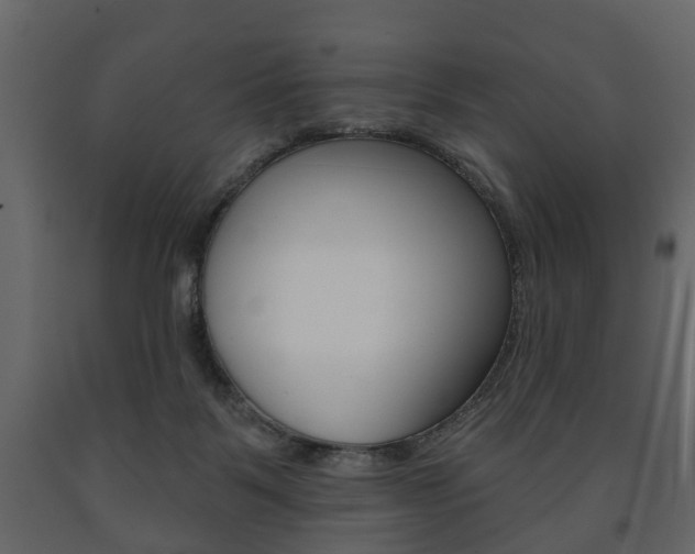 X0000091700123200708240943