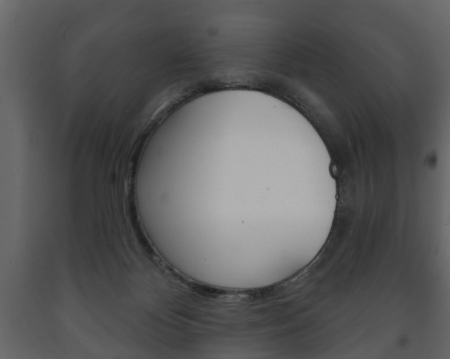 X0000091700124200708240943