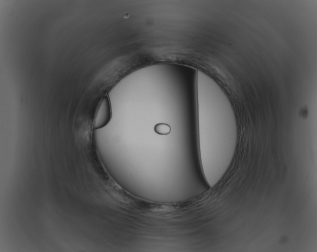 X0000091700125200708240943