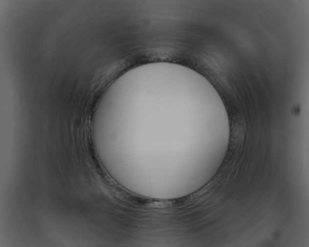 X0000091700126200708240943