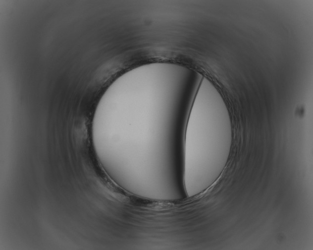 X0000091700128200708240943