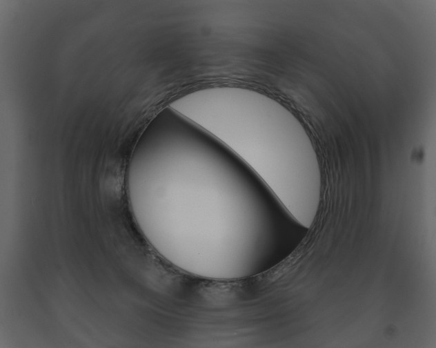 X0000091700129200708240943