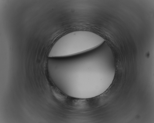 X0000091700132200708240943
