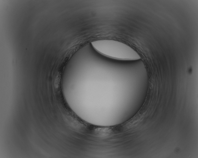 X0000091700133200708240943