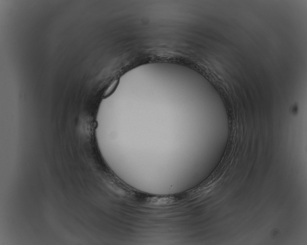 X0000091700135200708240943