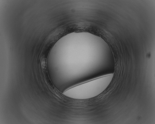 X0000091700137200708240943