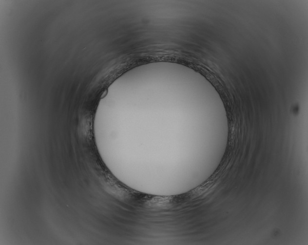 X0000091700138200708240943