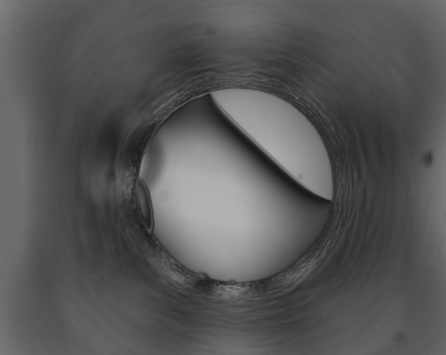 X0000091700139200708240943