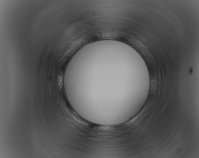 X0000091700142200708240942
