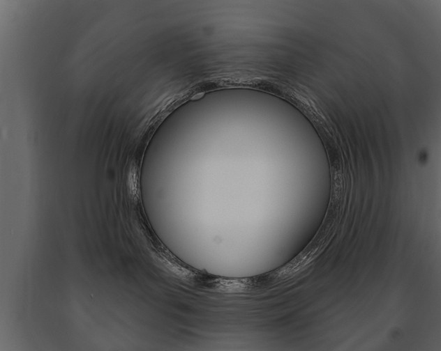 X0000091700143200708240942