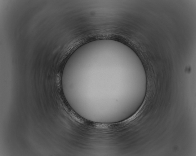 X0000091700144200708240942