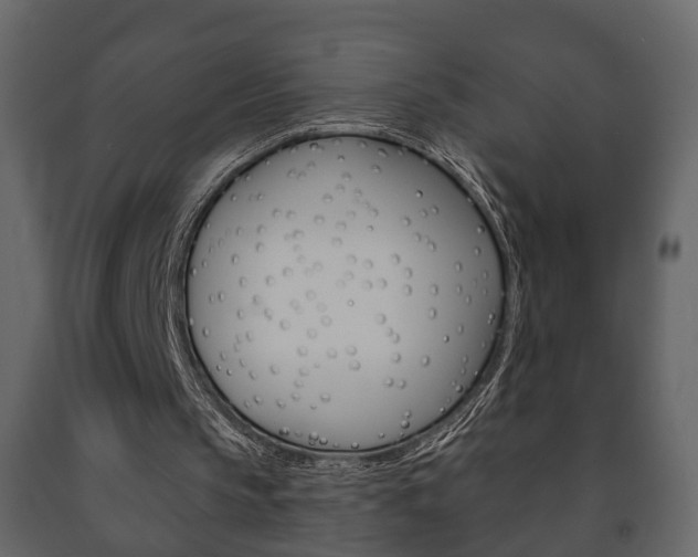 X0000091700145200708240942