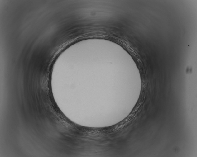 X0000091700146200708240942