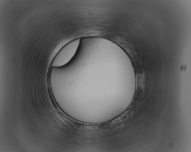 X0000091700147200708240942