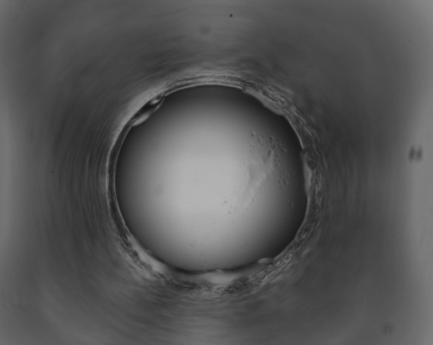 X0000091700148200708240942