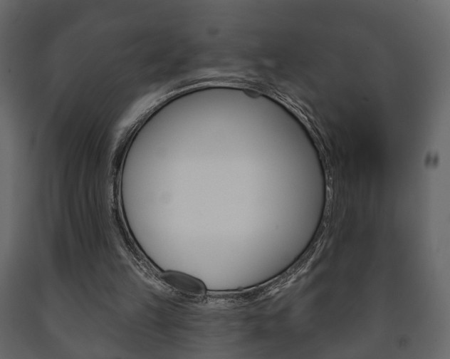 X0000091700149200708240942