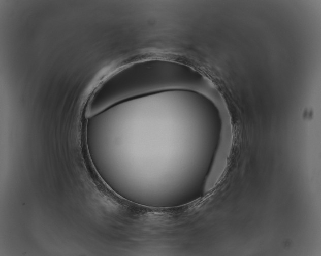 X0000091700150200708240942