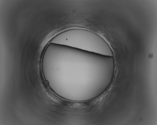 X0000091700151200708240942