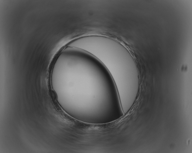 X0000091700152200708240942