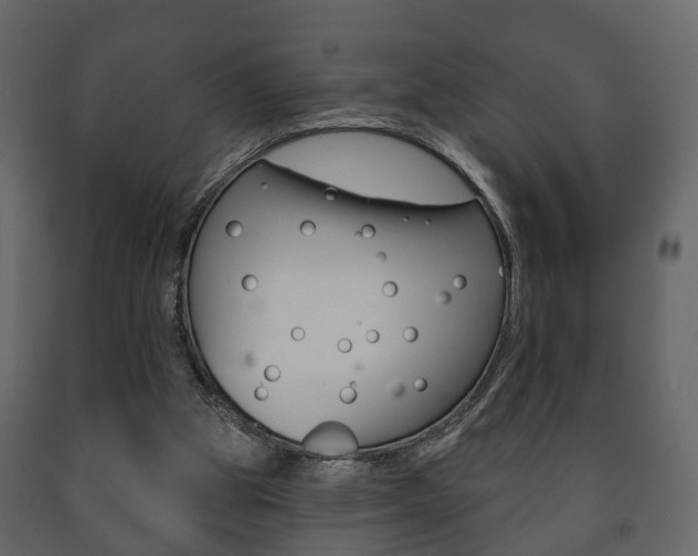 X0000091700153200708240942