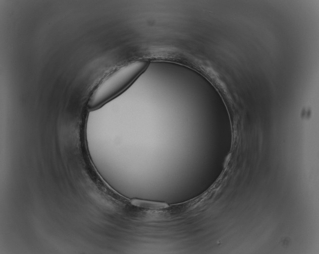 X0000091700154200708240942