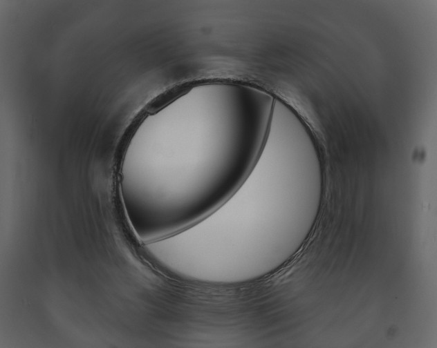 X0000091700156200708240942
