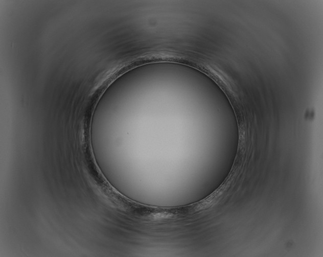 X0000091700158200708240942