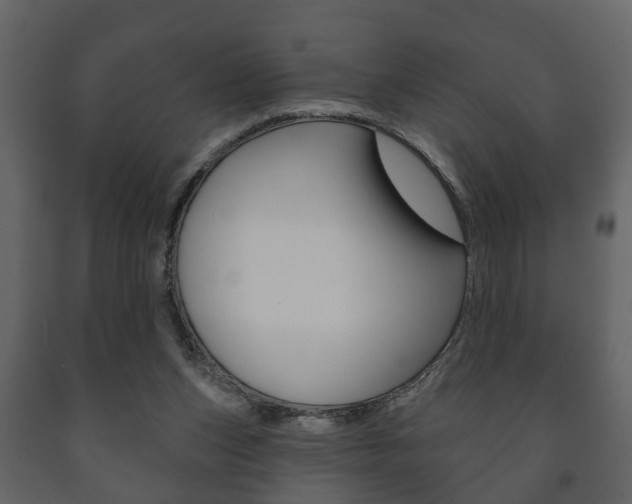 X0000091700159200708240942