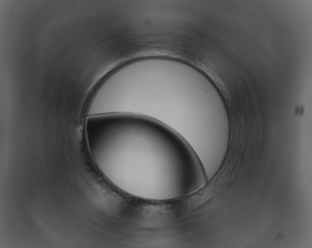 X0000091700160200708240942