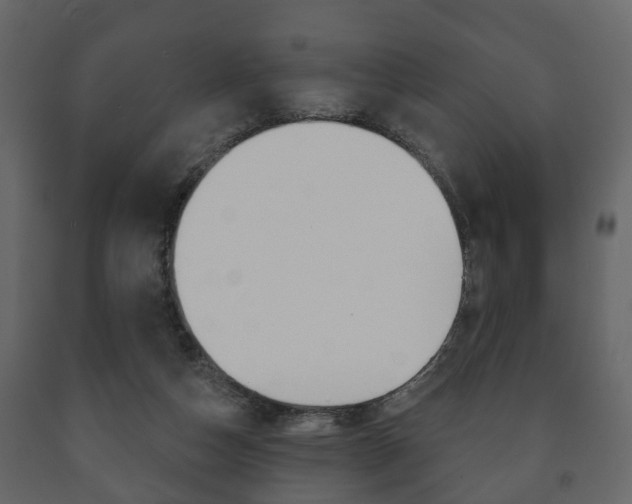 X0000091700162200708240942