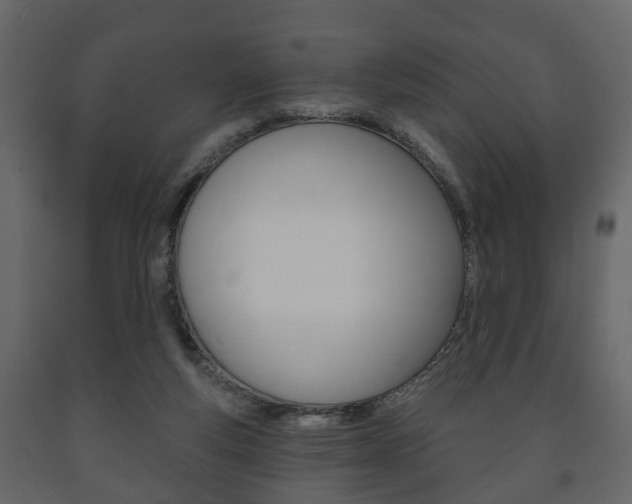 X0000091700163200708240942