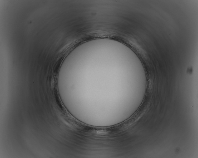 X0000091700165200708240942