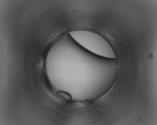 X0000091700166200708240942