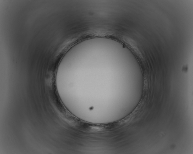 X0000091700167200708240942