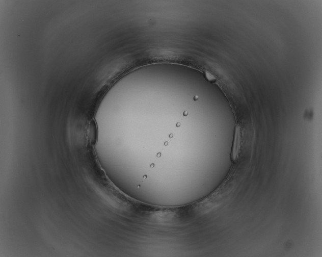 X0000091700168200708240942