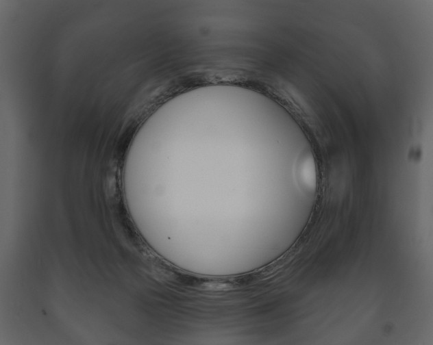 X0000091700169200708240942