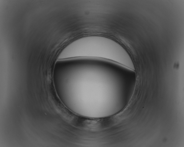 X0000091700170200708240942