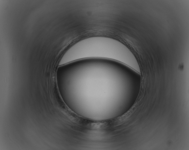 X0000091700172200708240942