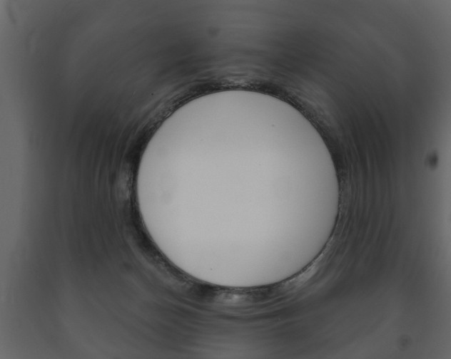 X0000091700174200708240942